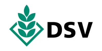 logo_DSV